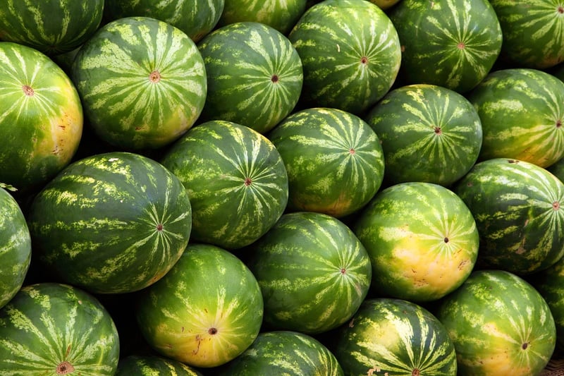 Farmers Market Fresh Vegetables