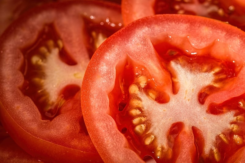 La Tomatina Festival